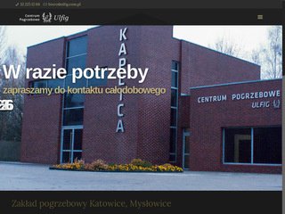 Podgląd ulfig.com.pl