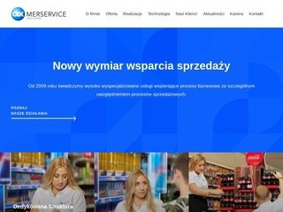 Podgląd https://merservice.pl