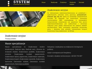 Podgląd system-es.pl