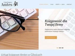 Podgląd amtes-ksiegowosc.pl