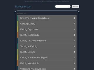 Podgląd slonecznik.com