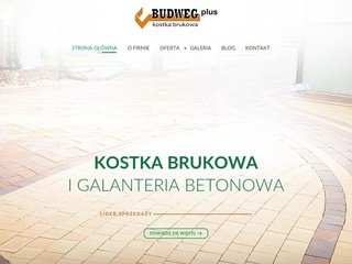 Podgląd budwegplus.pl