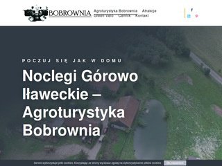 Podgląd bobrownia.pl