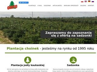 Podgląd https://orfo.pl