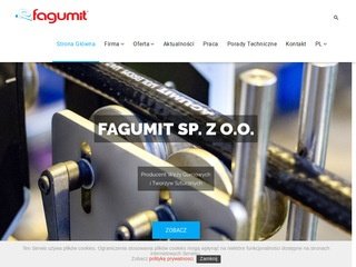 Podgląd fagumit.com.pl