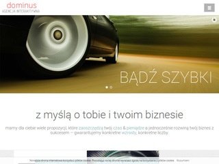 Podgląd dominus.net.pl