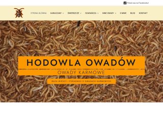 Podgląd https://hodowlaowadow.pl