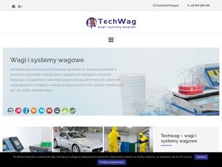 Podgląd techwag.pl