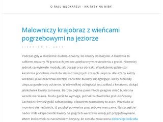 Podgląd rajwedkarza.pl