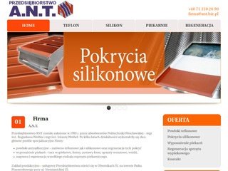 Podgląd ant.biz.pl