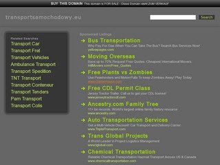 Podgląd transportsamochodowy.eu