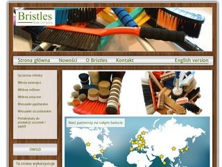 Podgląd bristles.com.pl