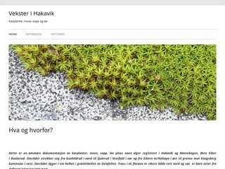 Podgląd hakavik.com