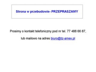 Podgląd tz-amex.pl