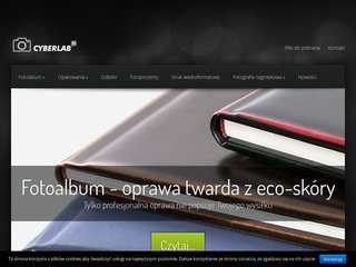 Podgląd cyberlab.pl