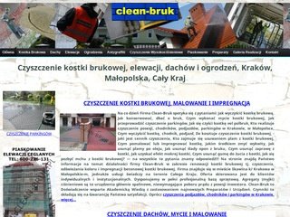 Podgląd clean-bruk.pl