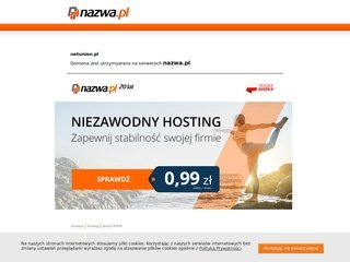 Podgląd netunion.pl