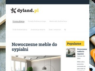 Podgląd dyland.pl