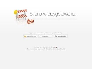 Podgląd w-car.net