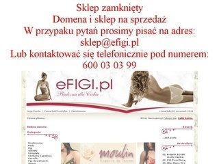 Podgląd efigi.pl