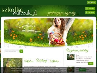 Podgląd szkolkawalczak.pl