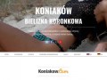 Podgląd koniakow.com