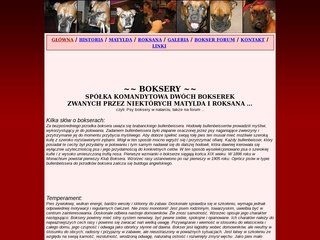 Podgląd bokser.joasia.info