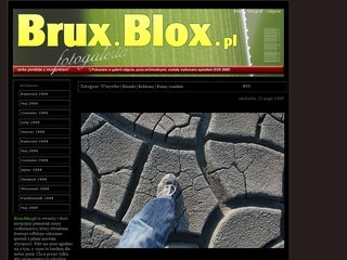 Podgląd brux.blox.pl