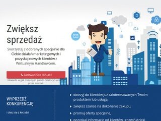 Podgląd wirtualnyhandlowiec.pl