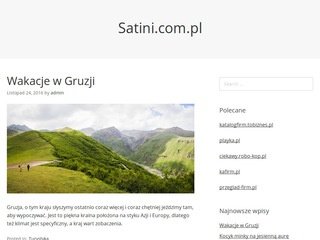 Podgląd satini.com.pl