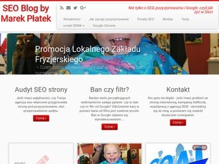 Podgląd fuburek.com