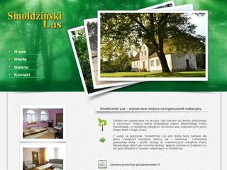 Podgląd smoldzinskilas.com