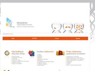 Podgląd flyart.com.pl