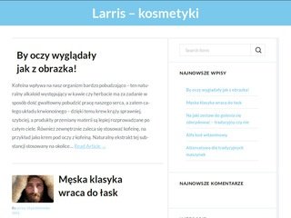 Podgląd larris.pl