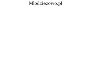 Podgląd mlodziezowo.pl