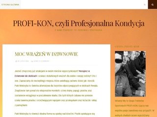 Podgląd prokon-web.pl