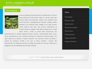 Podgląd carpatus.com.pl