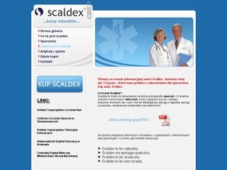 Podgląd scaldex.com.pl