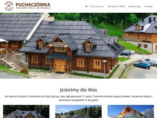 Podgląd puchaczowka.pl