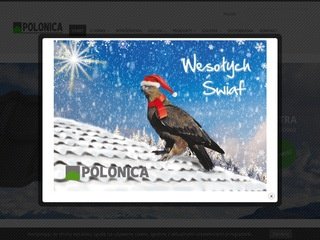 Podgląd polonica.com.pl