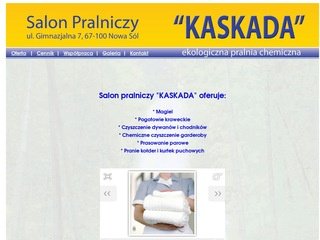 Podgląd pralniakaskada.com