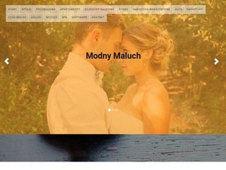 Podgląd modnymaluch.com.pl