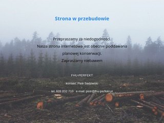 Podgląd fhu-perfekt.pl