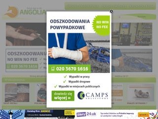 Podgląd angolia.co.uk