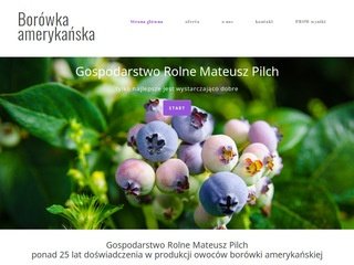 Podgląd borowki.info