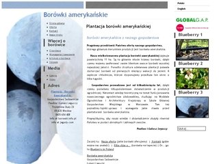 Podgląd borowki.info.pl