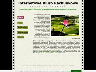 Podgląd biurorachunkoweauditor.com