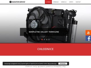 Podgląd radiator-service.pl