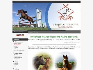 Podgląd stajniasportowa.pl