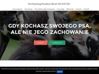 Podgląd psipsycholog24.pl